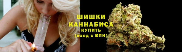 стаф Богородицк