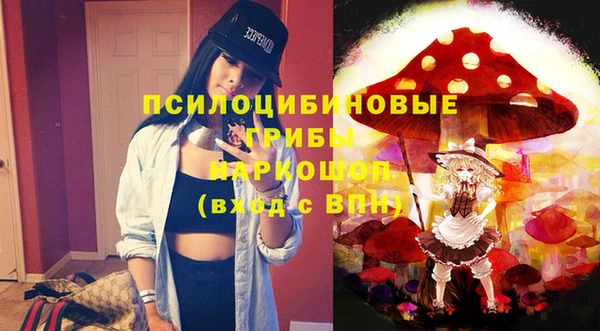 стаф Богородицк