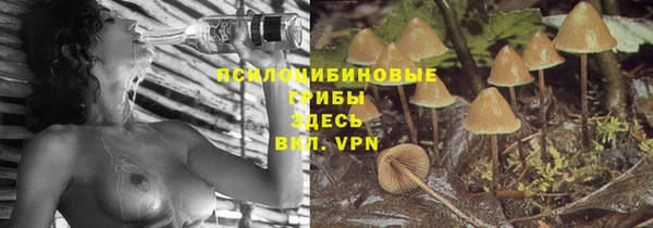 стаф Богородицк