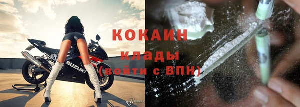 стаф Богородицк