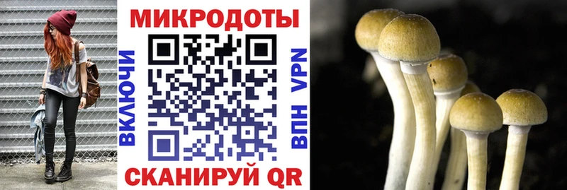 Галлюциногенные грибы MAGIC MUSHROOMS  Дмитров 